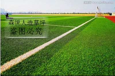 大連人造草坪_大連人造草坪供應(yīng)商_人造草坪鋪裝